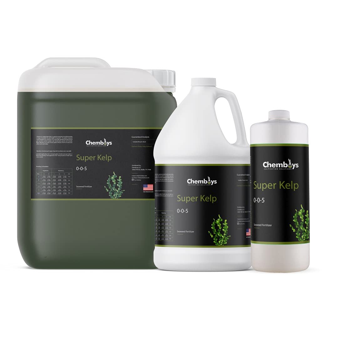 Liquid Seaweed Fertilizer 1 Pint Y6635