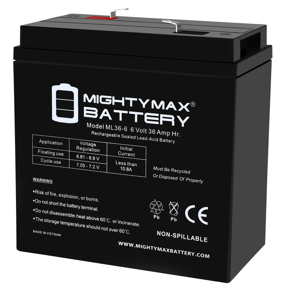 6V 36Ah AGM F2 Terminal Battery D2858