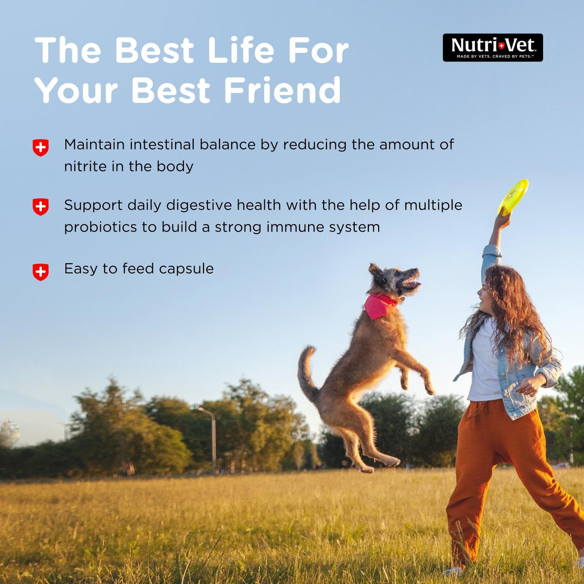 Probiotics for Dogs 60 Count Z1035