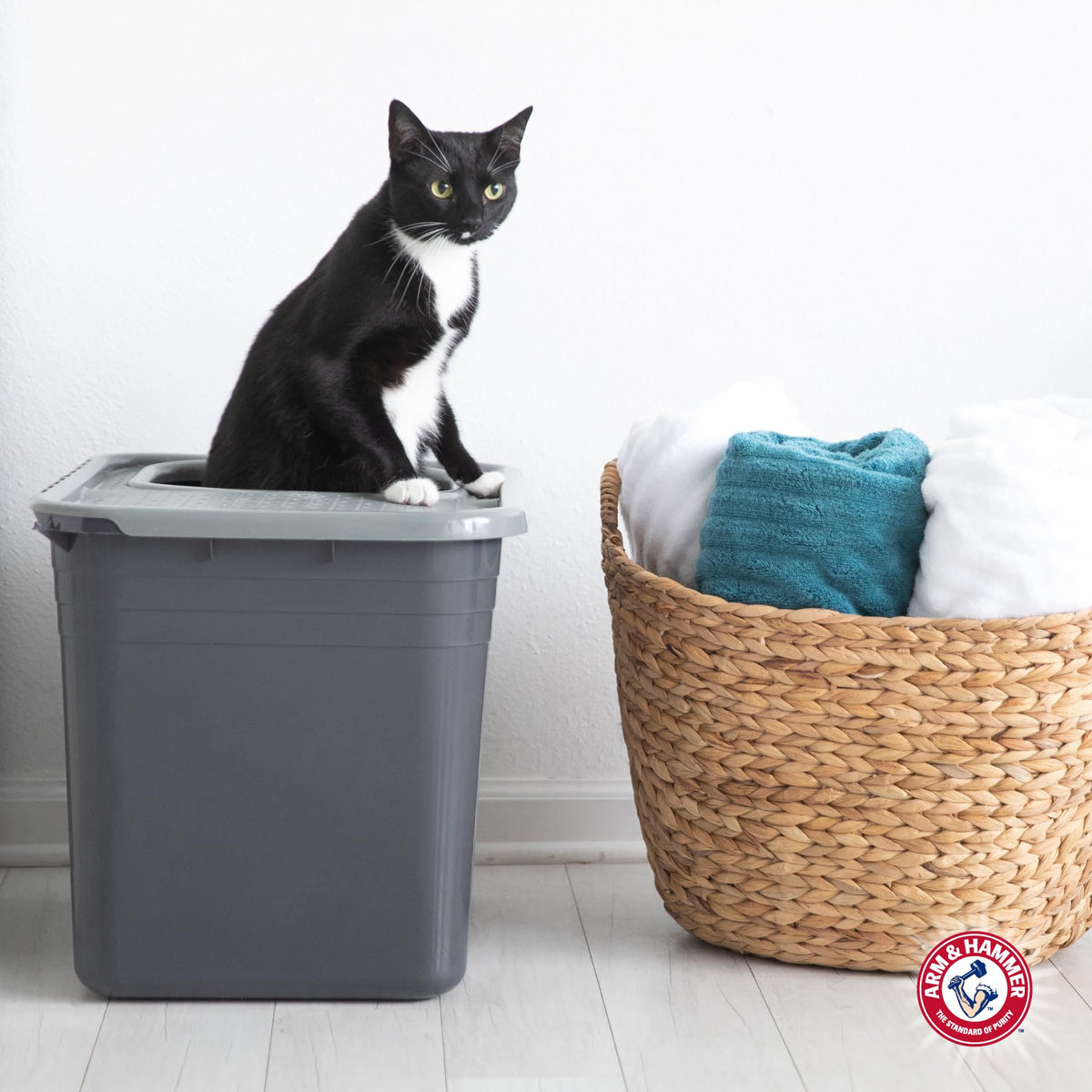 Top Entry Litter Box with Filter L7075
