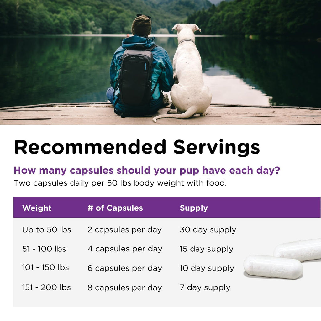 Probiotics for Dogs 60 Count Z1035
