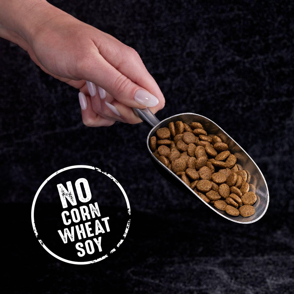 Grain Free High Protein Natural Dry Cat Food, Chicken, 4 lb A1666