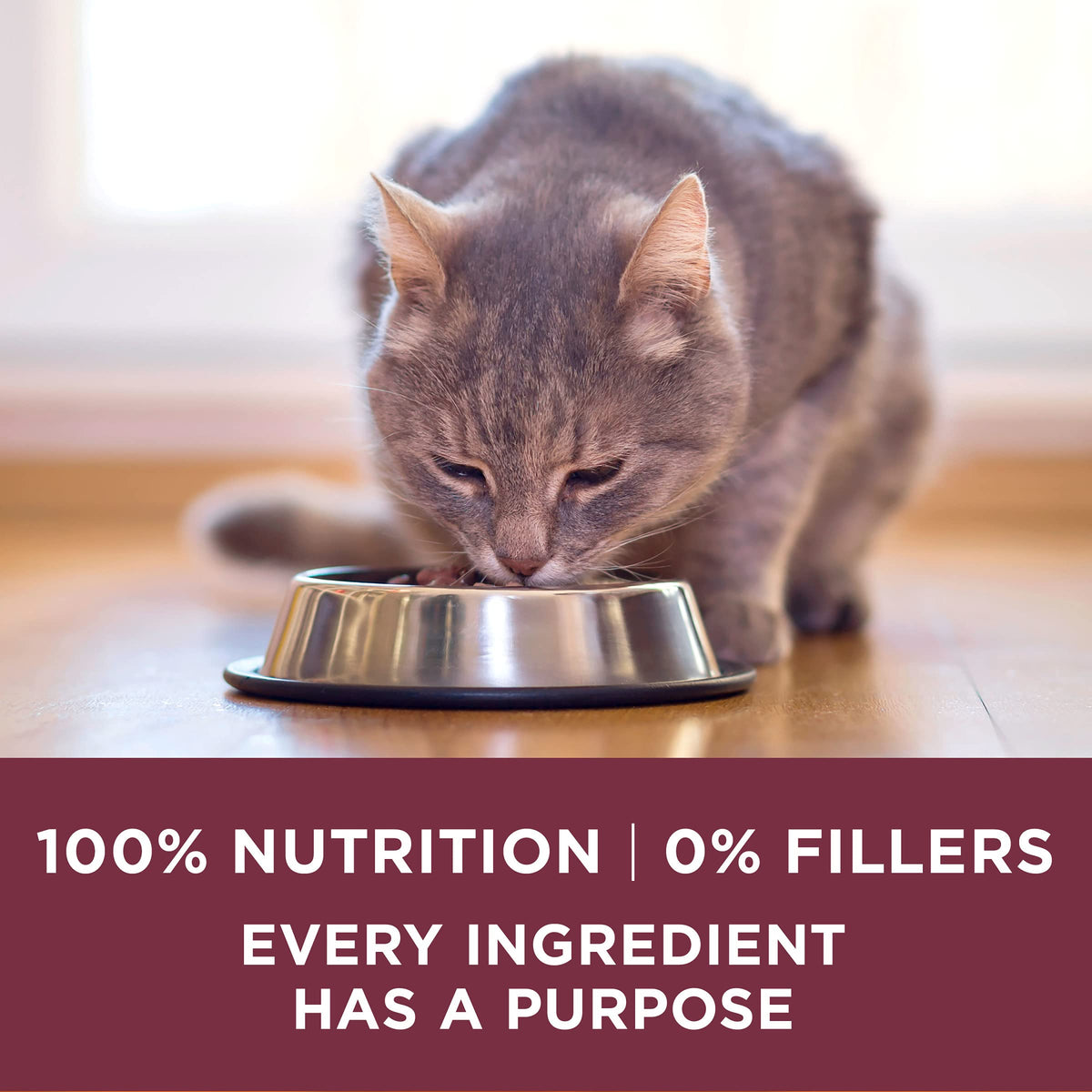 High Protein Urinary Tract Health Dry Cat Food 16 lb Bag M390310