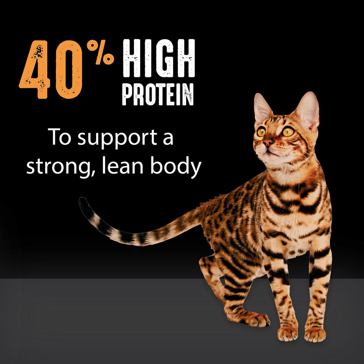 Grain Free High Protein Natural Dry Cat Food, Chicken, 4 lb A1666