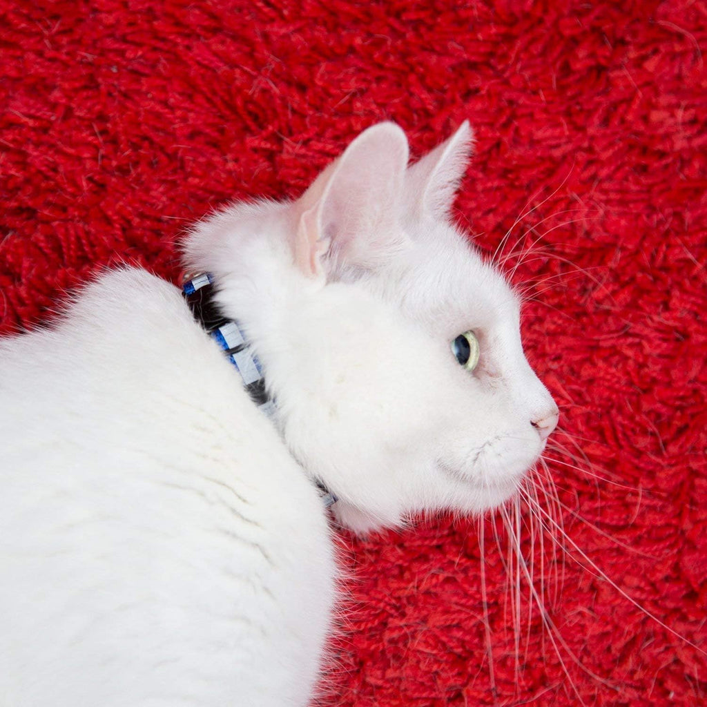 Reflective Nylon Cat Collar with Bell, Set of 6 F3171