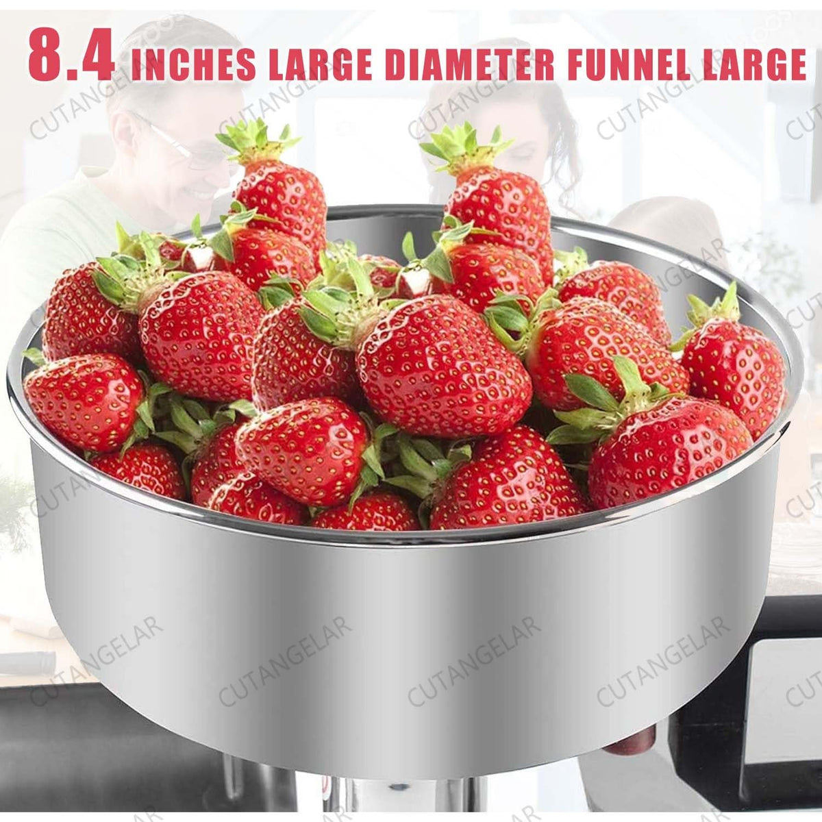 450W Stainless Steel Electric Sauce Maker T5511