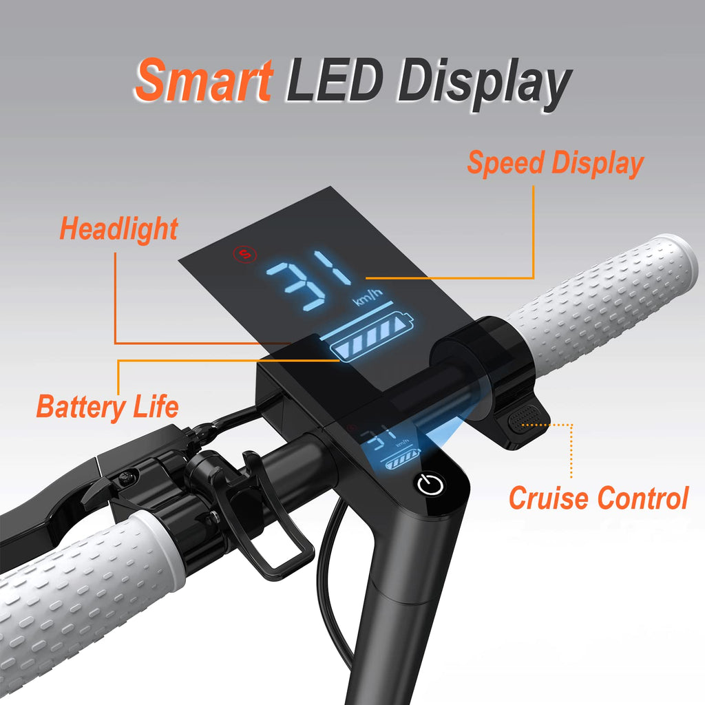 Folding Electric Scooter with Dual Brakes System D6852