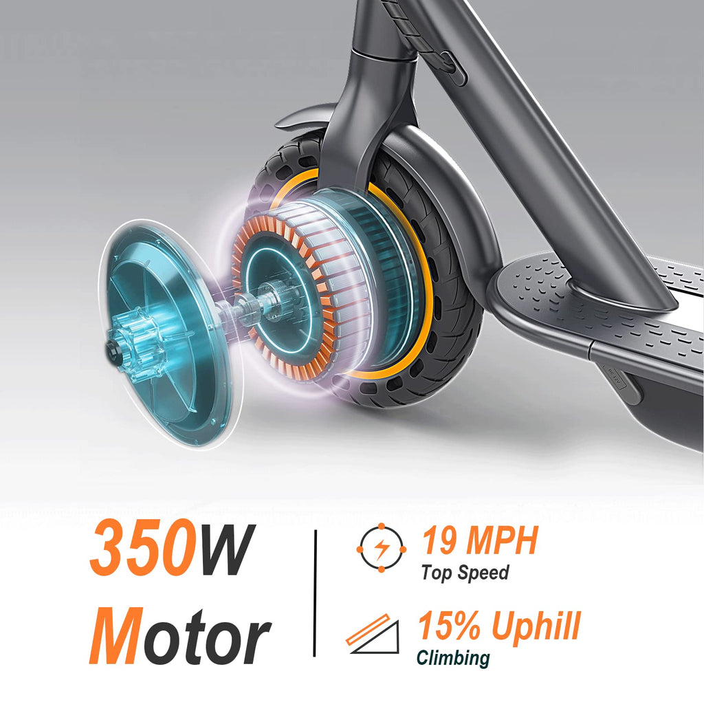 Folding Electric Scooter with Dual Brakes System D6852