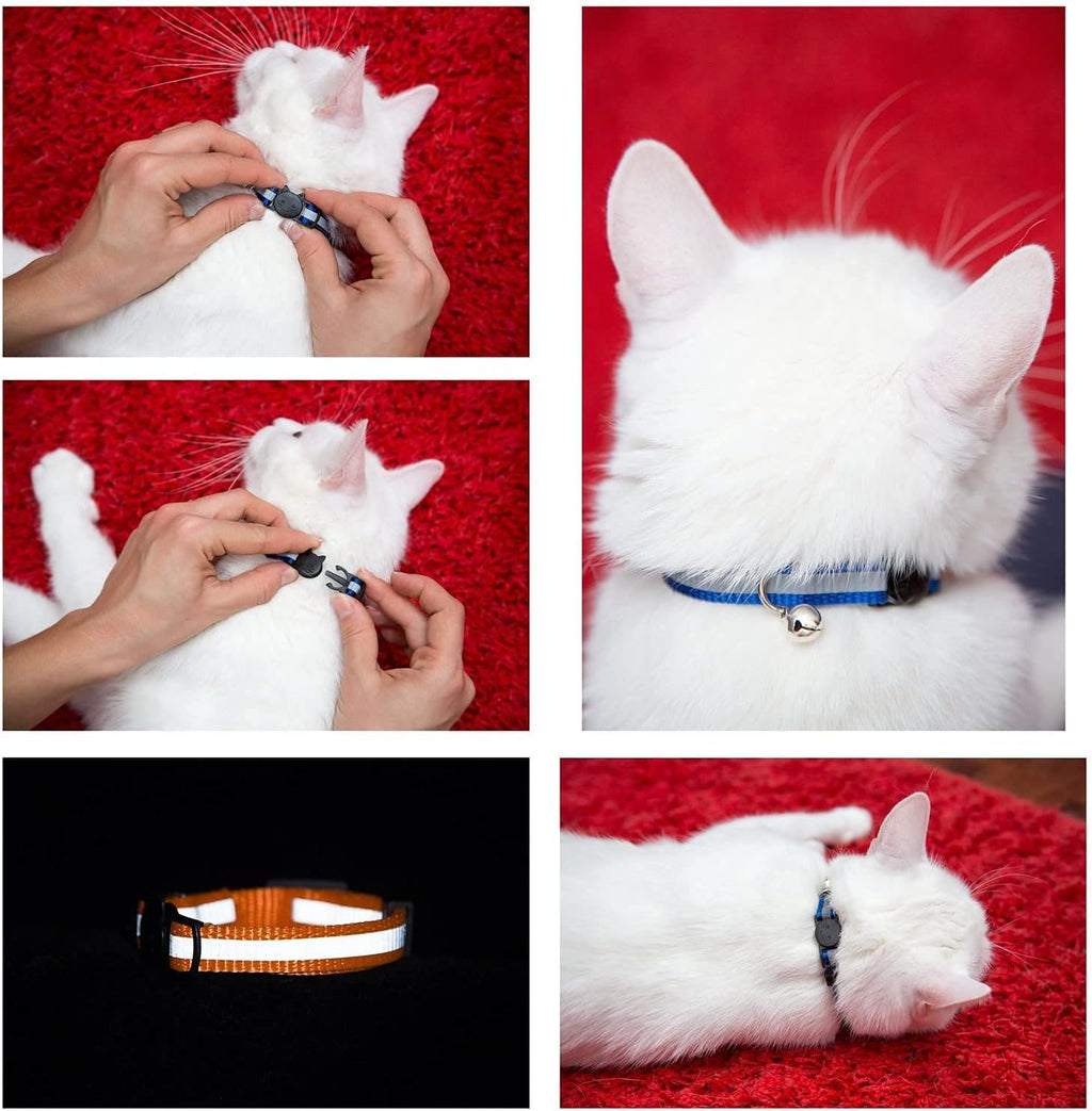 Reflective Nylon Cat Collar with Bell, Set of 6 F3171