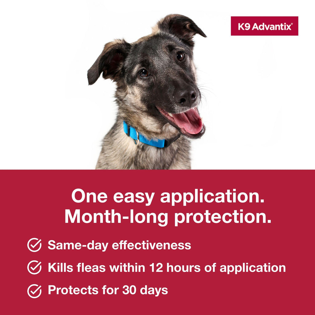 Flea Tick Mosquito Prevention for Dogs 21-55 lbs L10220