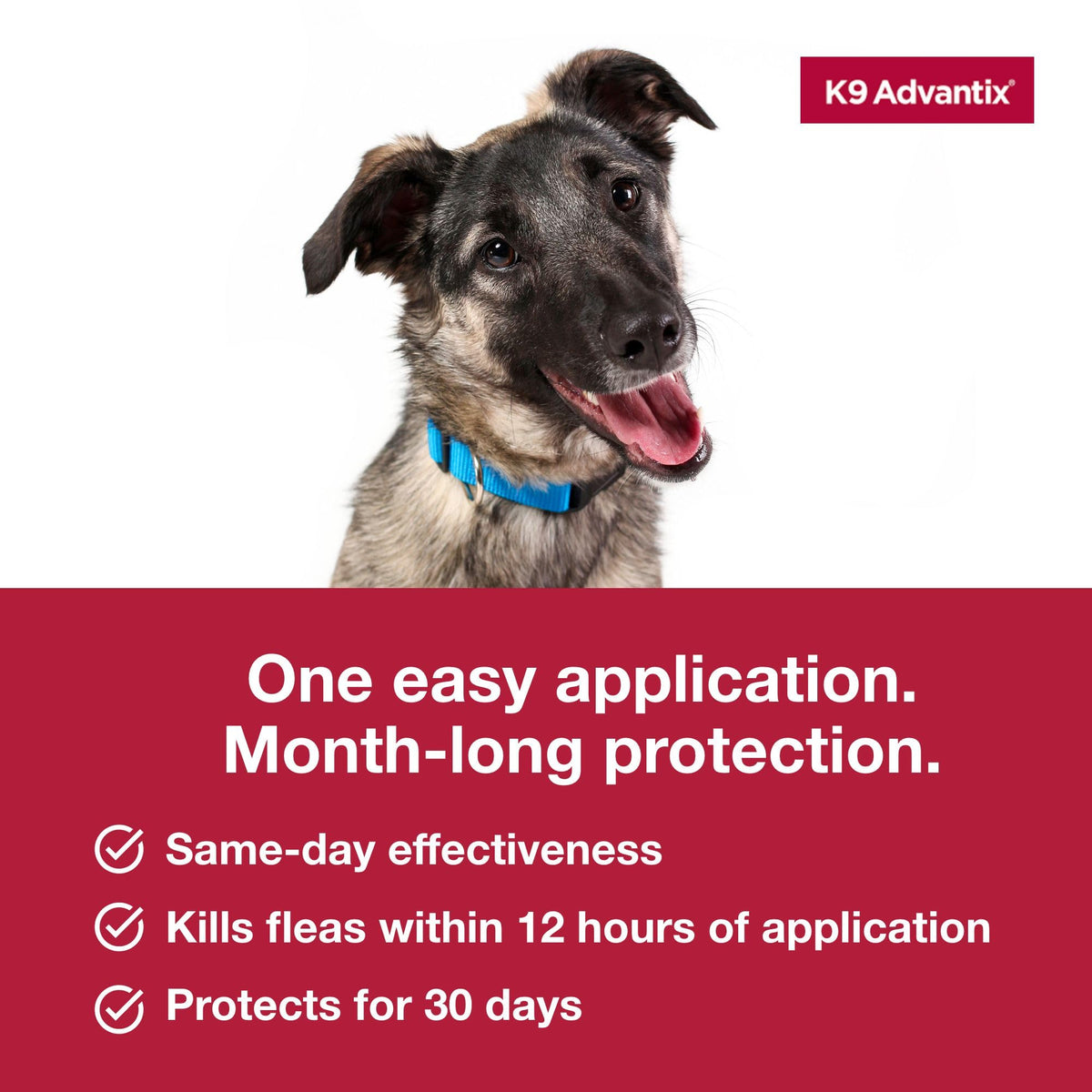 Flea Tick Mosquito Prevention for Dogs 21-55 lbs L10220