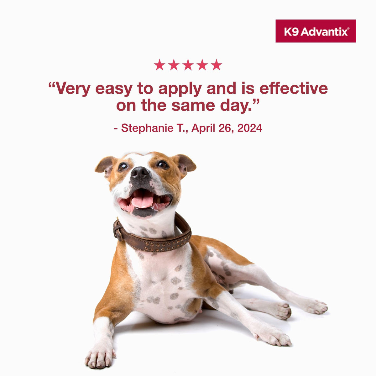 Flea Tick Mosquito Prevention for Dogs 21-55 lbs L10220