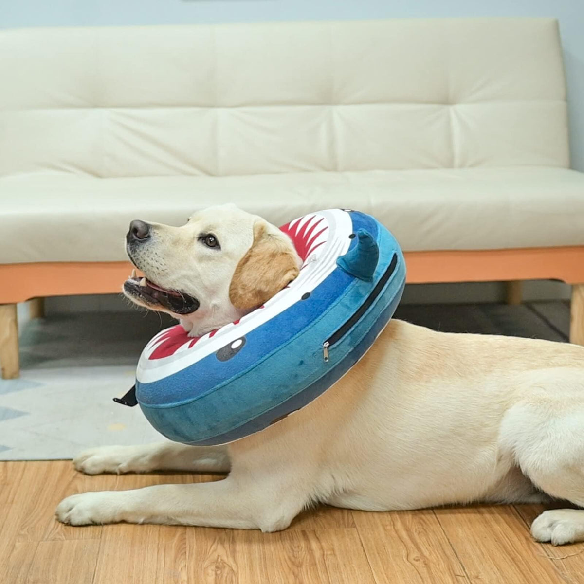 Dog Cone Collar Alternative W6708