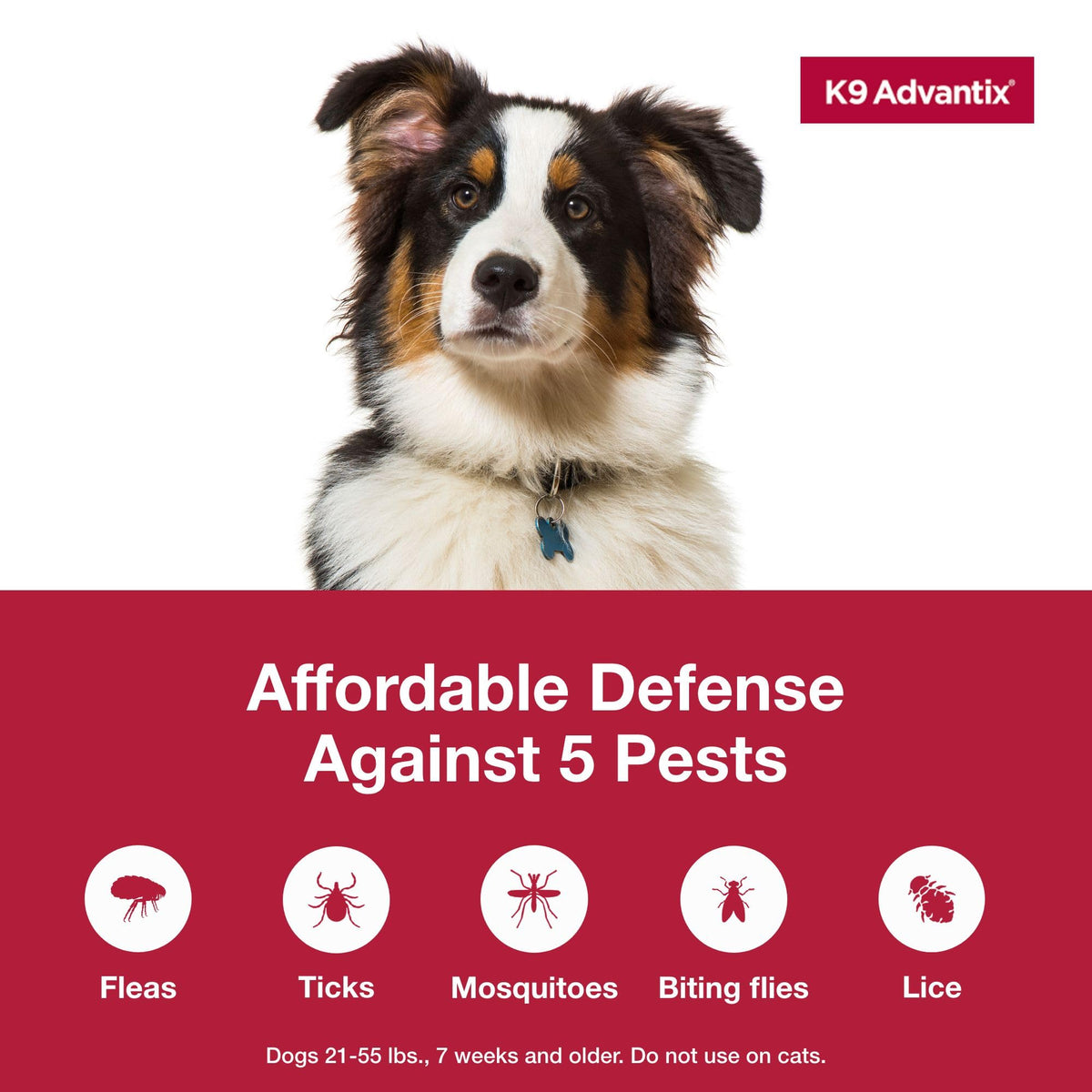 Flea Tick Mosquito Prevention for Dogs 21-55 lbs L10220