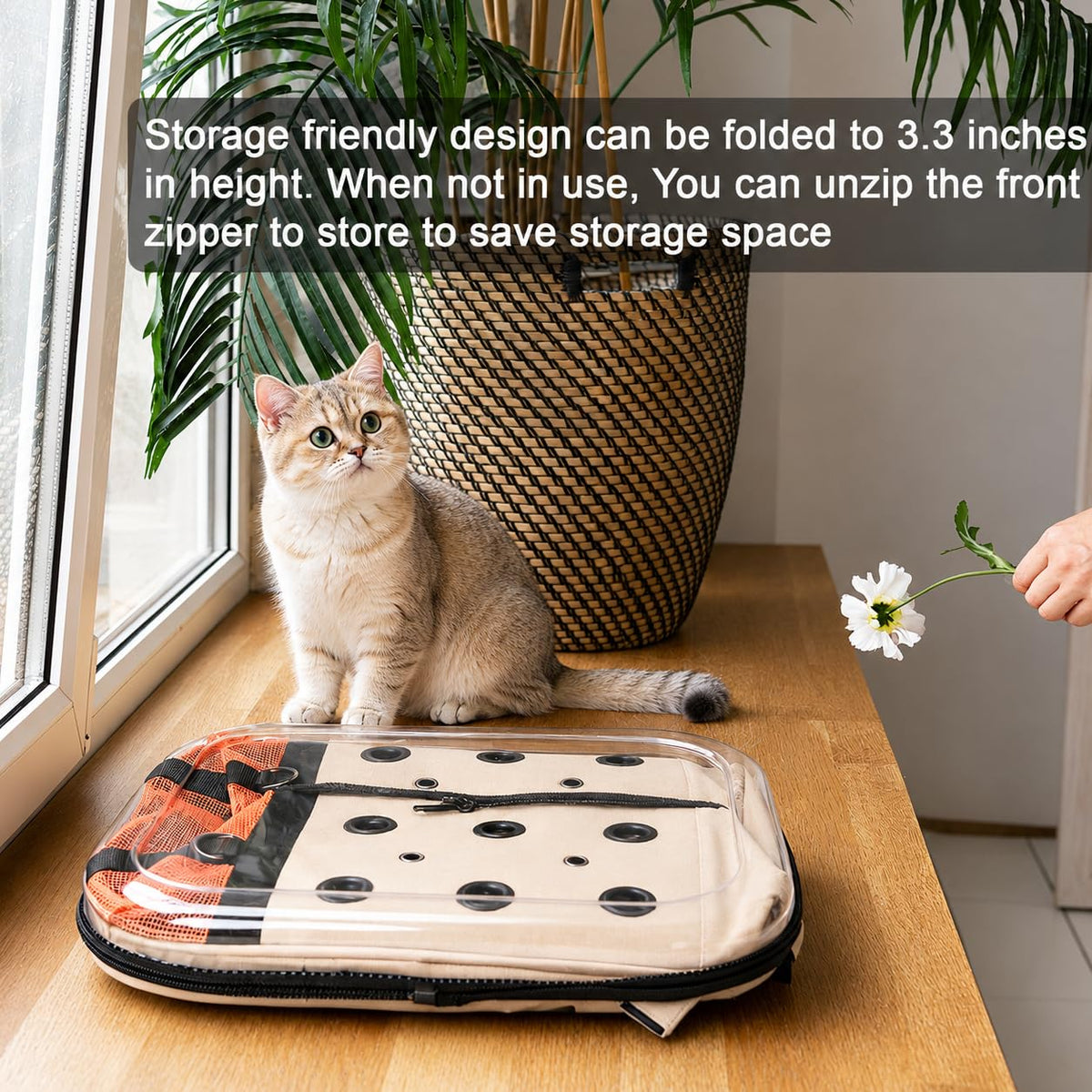 Large Breathable Cat Backpack Carrier O663