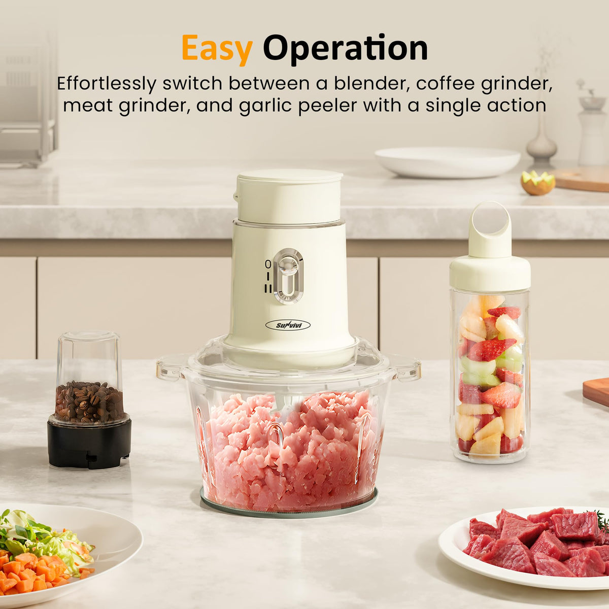 4-in-1 Electric Food Chopper & Small Food Processor B303957