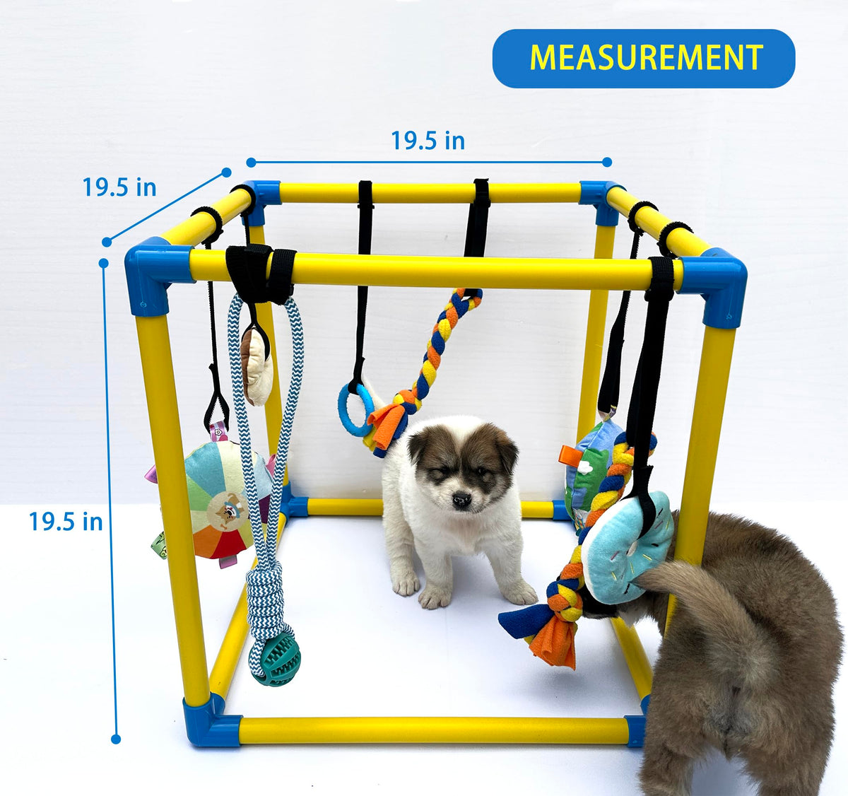 Puppy Play Gym with 8 Hanging Toys D596191