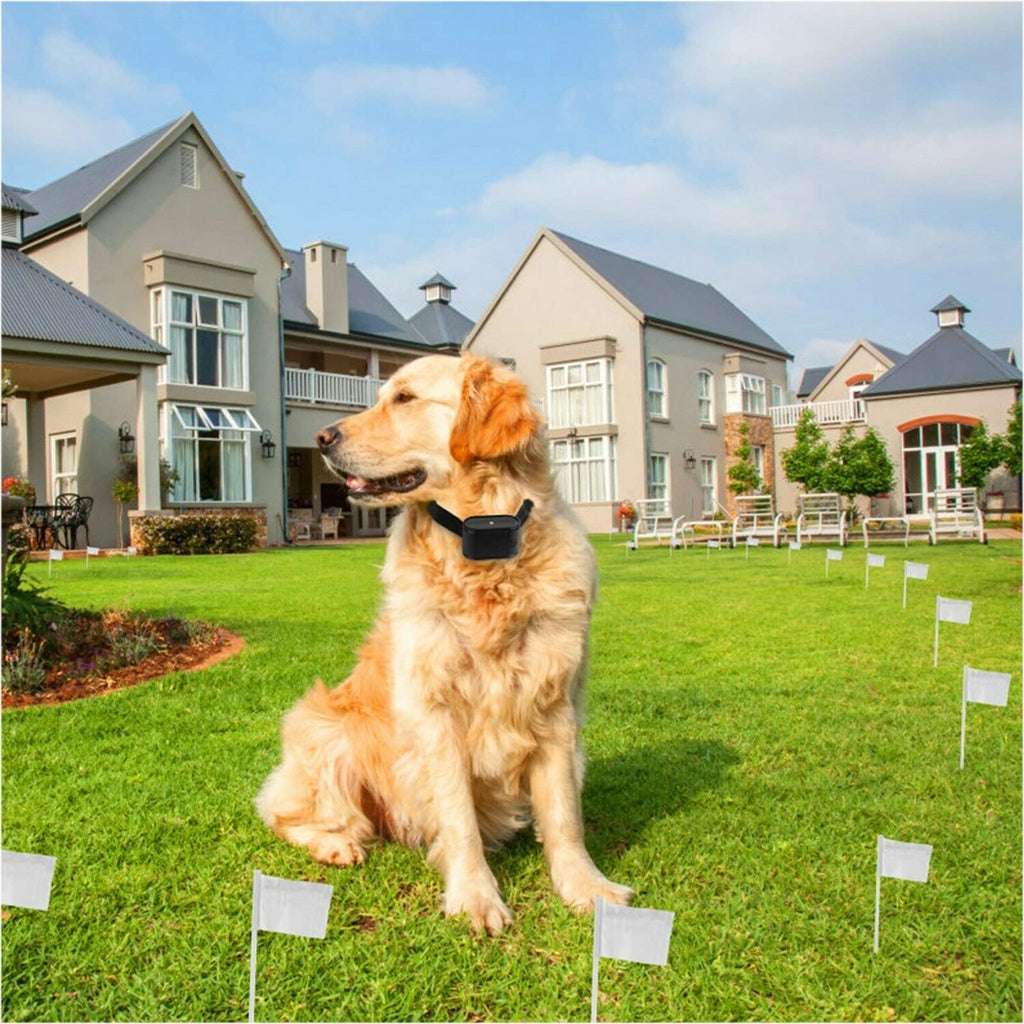 Wireless Electric Dog Fence System, In-ground/Aboveground Pet Containment System D18571