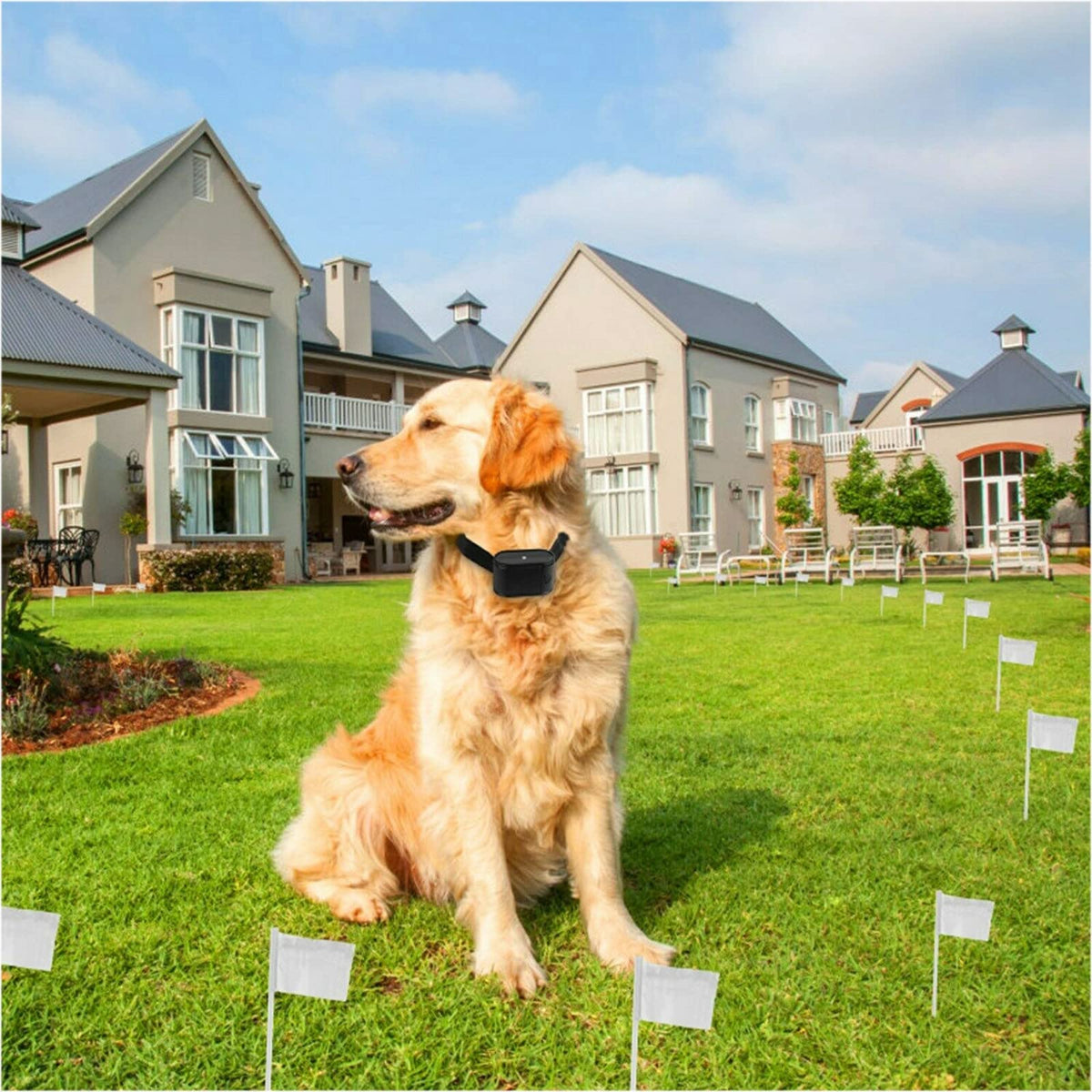 Wireless Electric Dog Fence System, In-ground/Aboveground Pet Containment System D18571