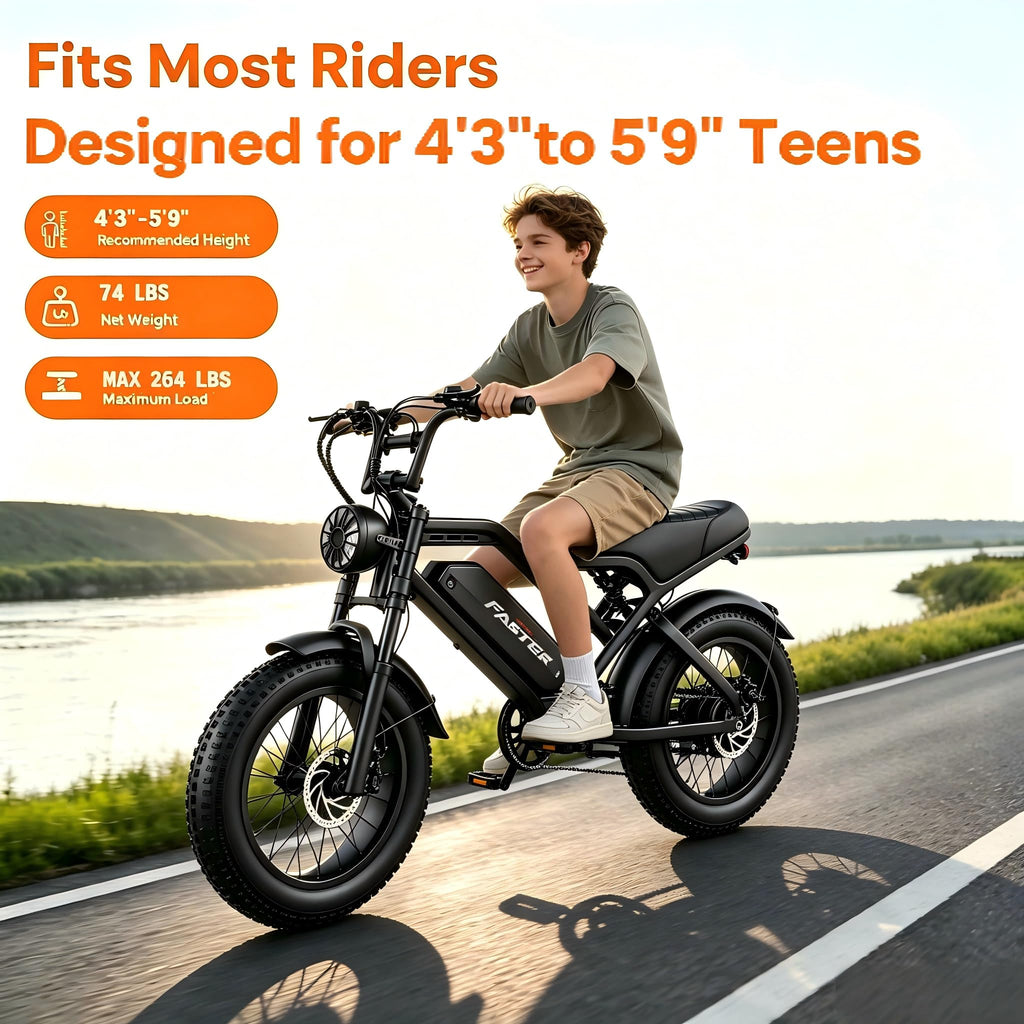 1000W 48V 16Ah Fat Tire Electric Bike O440