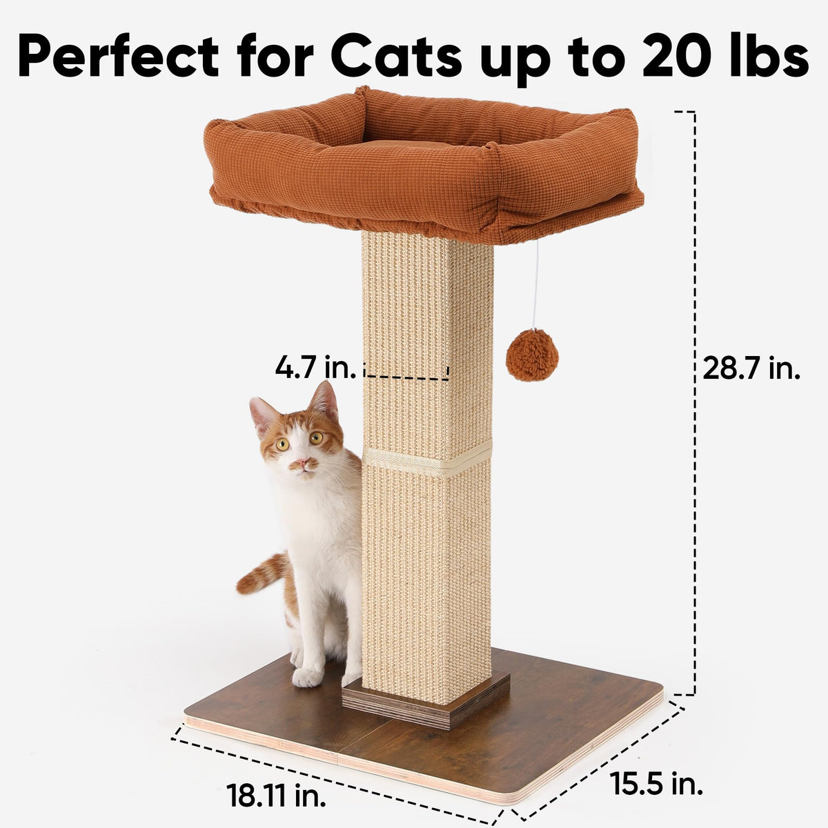 Cat Scratching Post with Perch G921