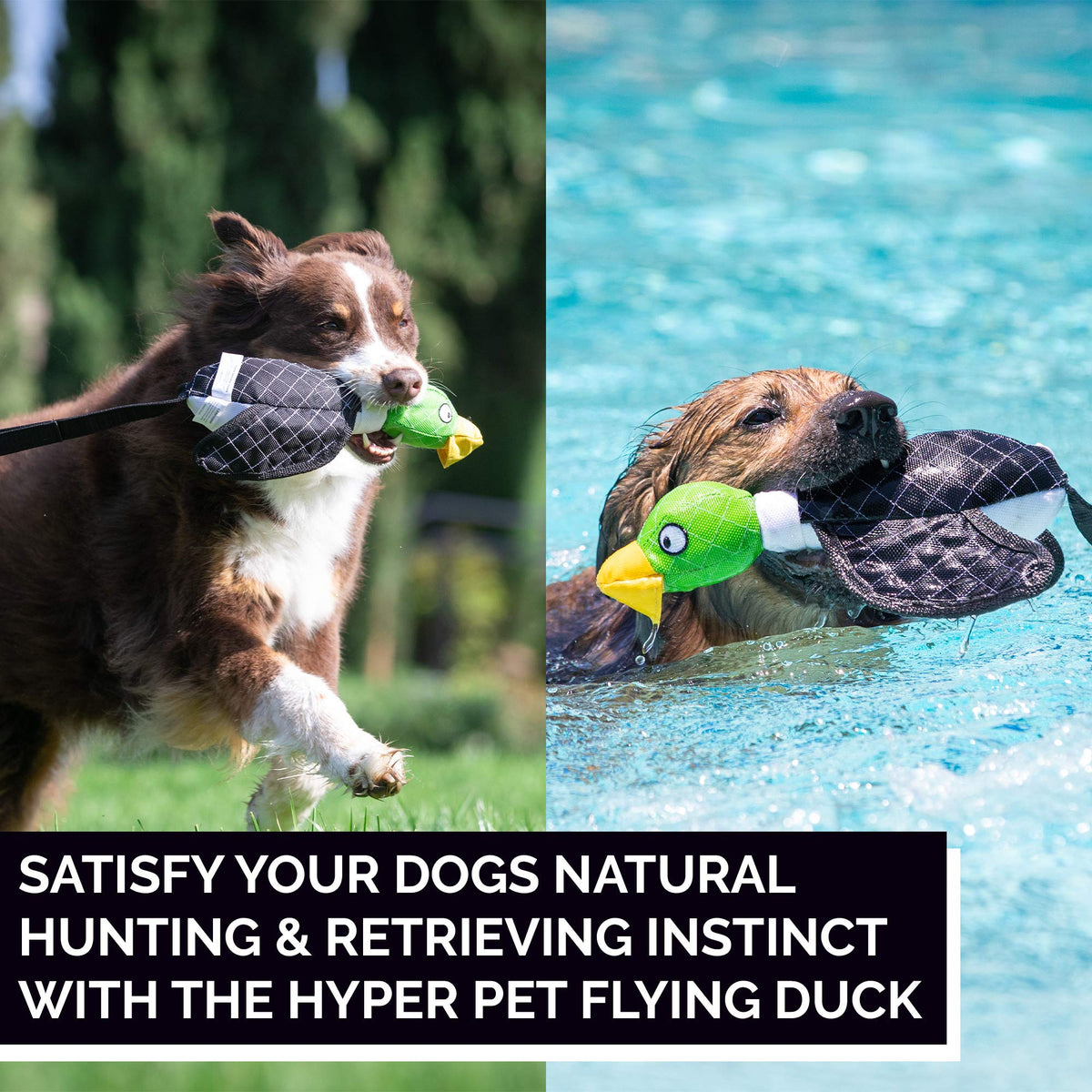 Large Duck Slingshot Fetching Dog Toy A18435