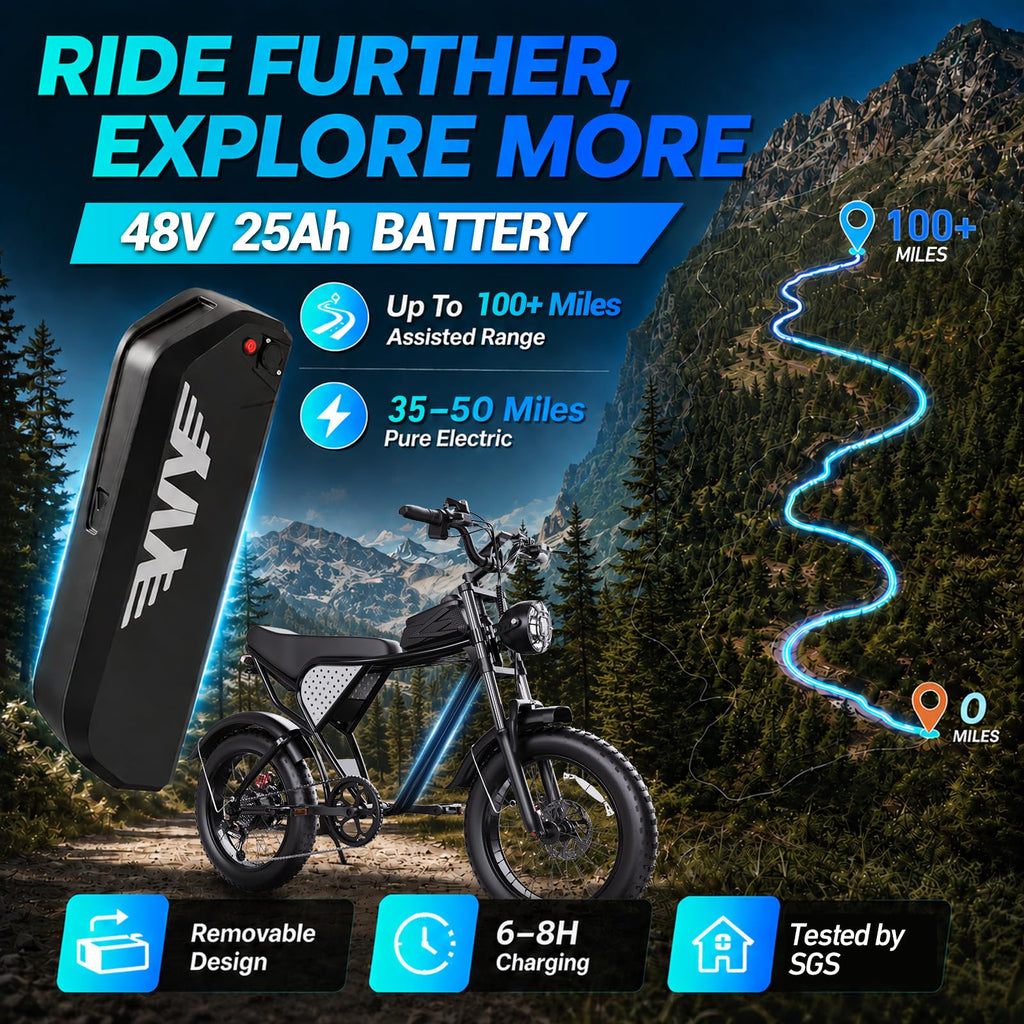 48V 1500W 20" Fat Tire Electric Bike Z423