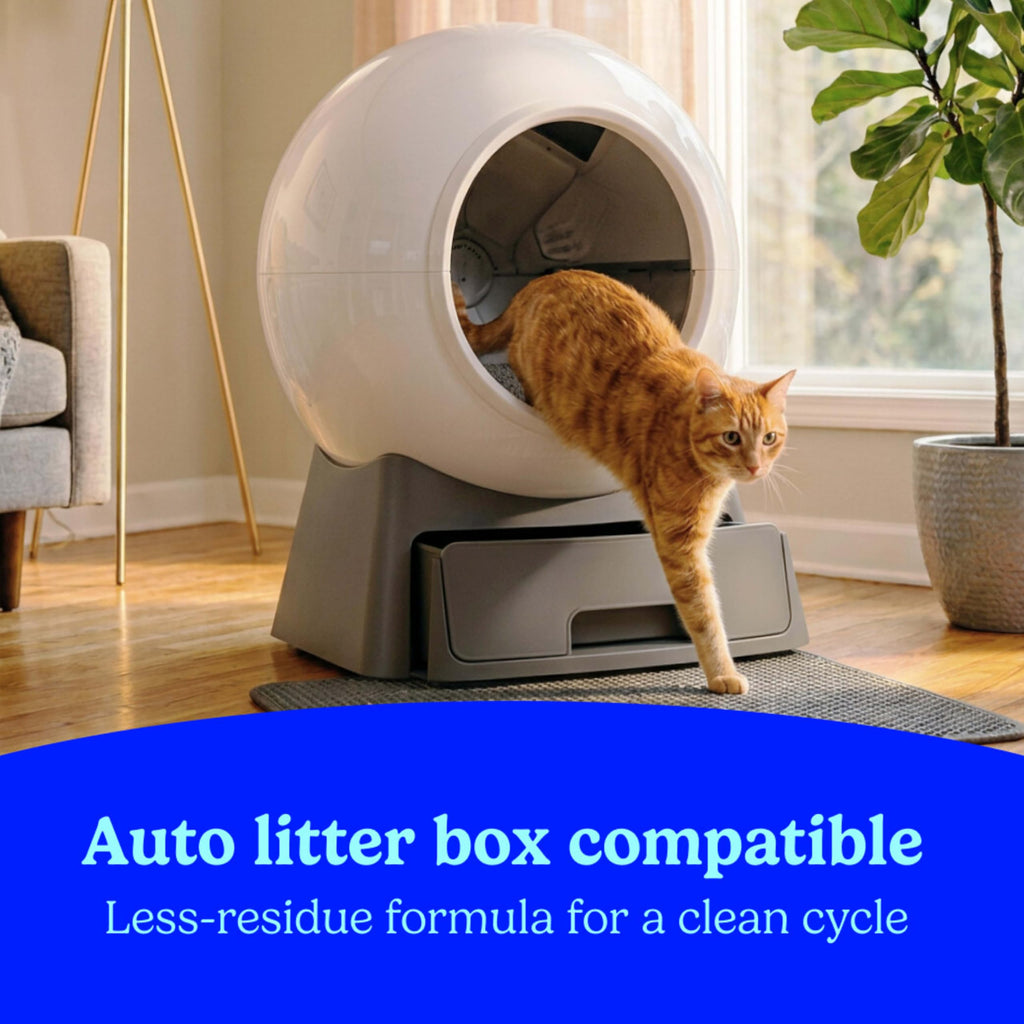 Clumping Cat Litter Multi-Cat Odor Control 14 lbs Pack of 2 K120721