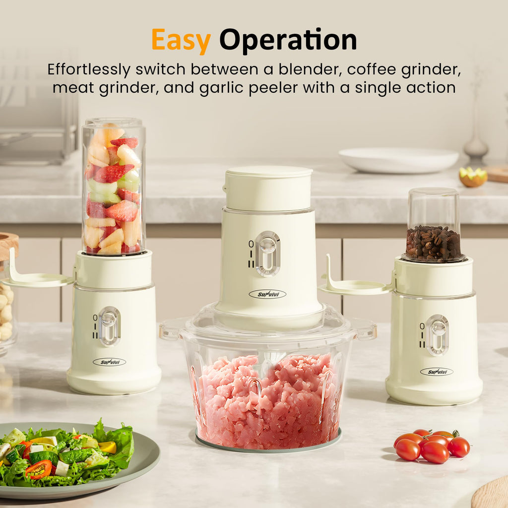 4-in-1 Electric Food Chopper & Small Food Processor B303957