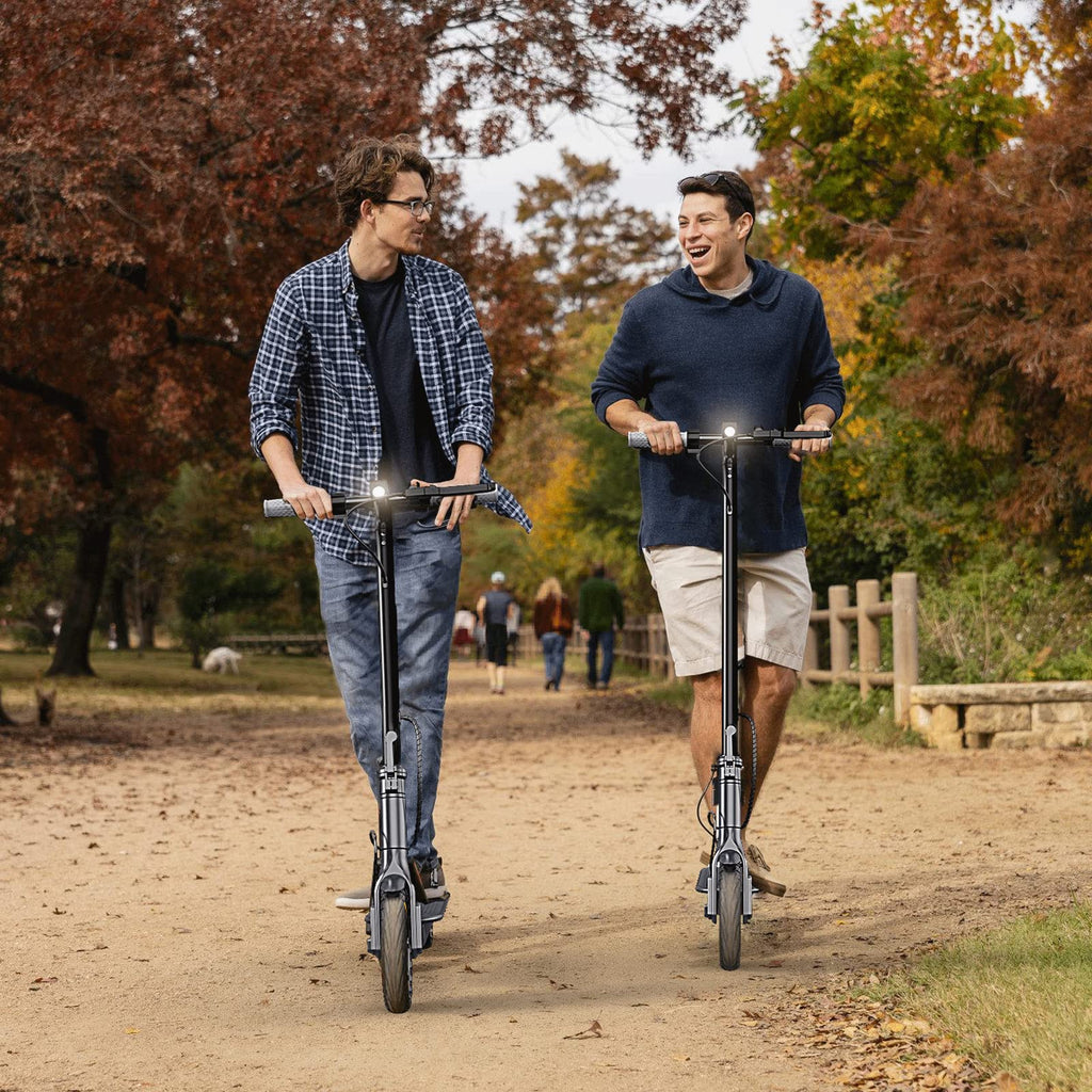 Folding Electric Scooter with Dual Brakes System D6852